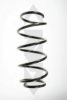 SPIDAN 49527 Coil Spring